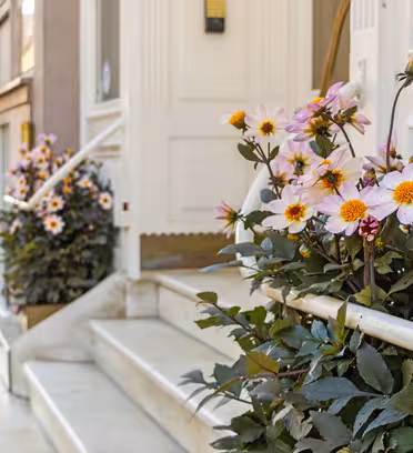 Rosa og hvite blomster med gule sentre i plantekasser pryder trinnene til en hvit bygningsinngang. Gatevisningen avslører et brosteinsbelagt fortau og tilstøtende bygninger, og skaper en sjarmerende urban scene.